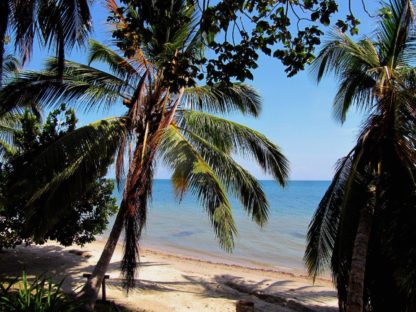 dagenEcuador&#;Colombiareis