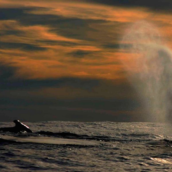 dagendemooistestrandenvancolombia
