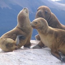 dagenHoogtepuntenPeru