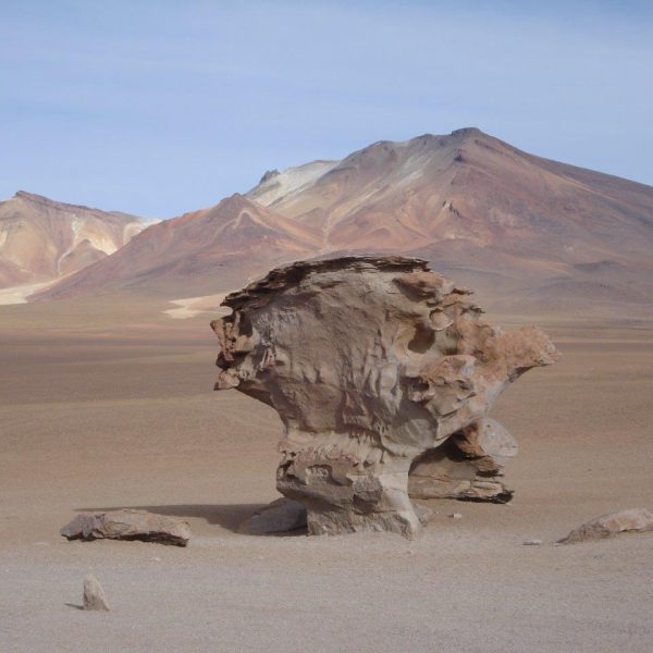 dagenChili,Bolivia&#Brazilië