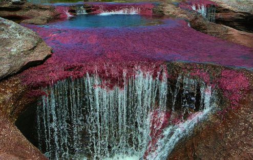 dagen&#Avontuur&#MystiekinColombia