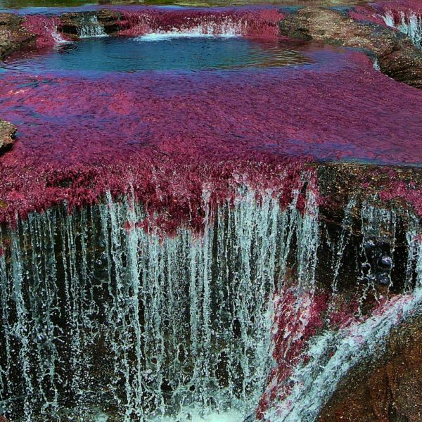 dagen&#Avontuur&#MystiekinColombia