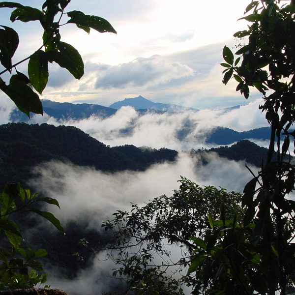 dagen&#Ecuadorvoornatuurliefhebbers