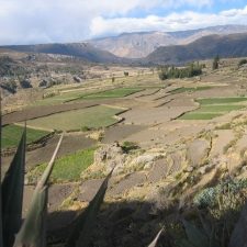 dagenDwarsdoordeAndes