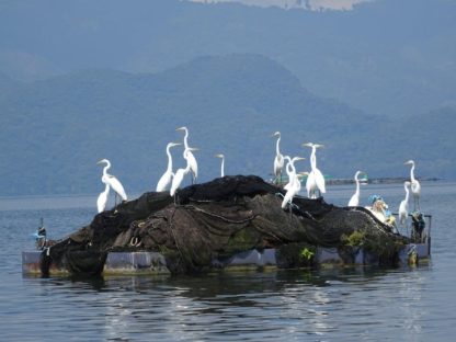 dagen–HoogtepuntenvanHonduras