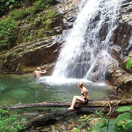 dagen&#Ecuadorvoornatuurliefhebbers