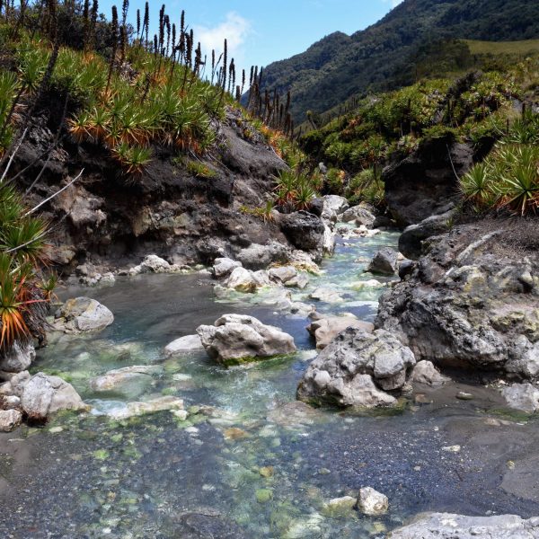dagen&#ColombiaAndes,koffie&#natuurreis