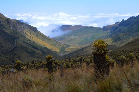 dagen&#Avontuur&#MystiekinColombia