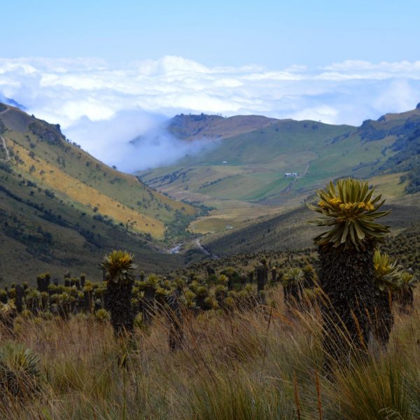 dagen&#Avontuur&#MystiekinColombia