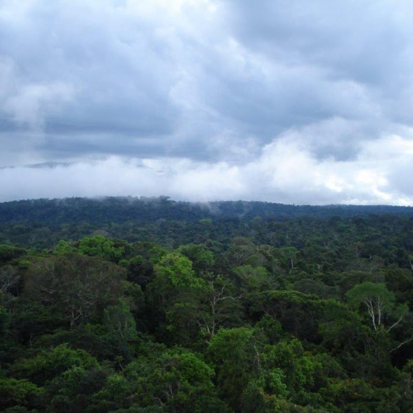 dagen&#AmazoneEcuador&#Galapagoscruise