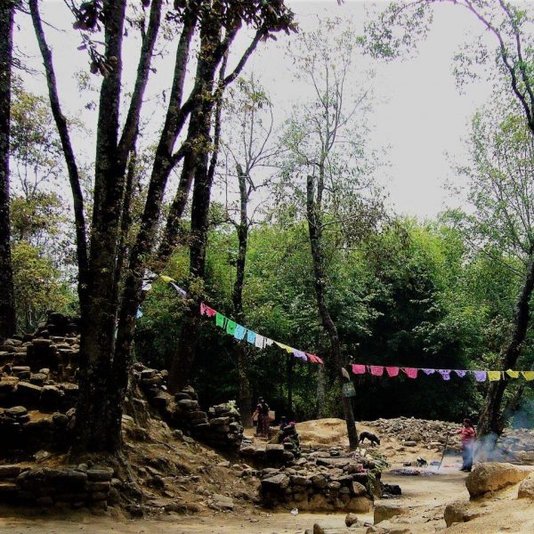 dagen–MayaTempels&#NatuurinGuatemala