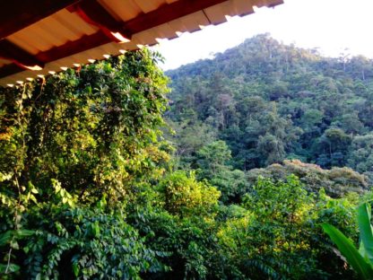 dagen–HoogtepuntenvanHonduras