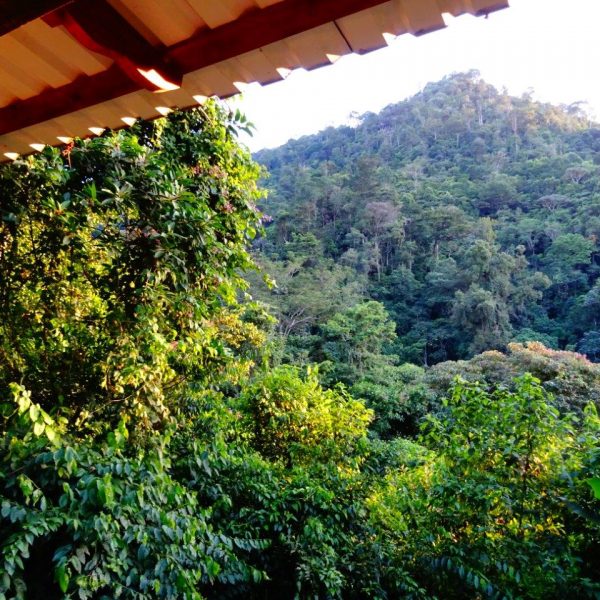 dagen–HoogtepuntenvanHonduras