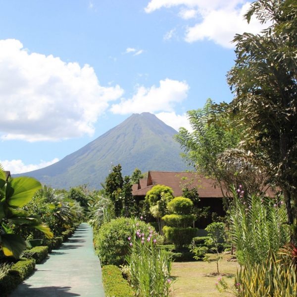 dagen&#Jungle,wildlife,vulkanenentropischestranden