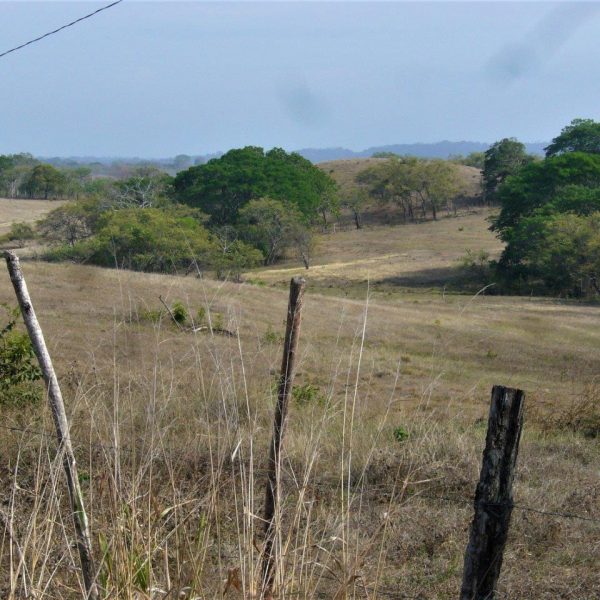 dagen&#Natuur&#authentiekPanama
