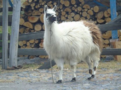 dagen&#Ecuadorvoornatuurliefhebbers