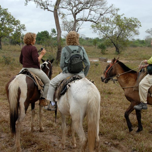 dagenChili,Bolivia&#Brazilië