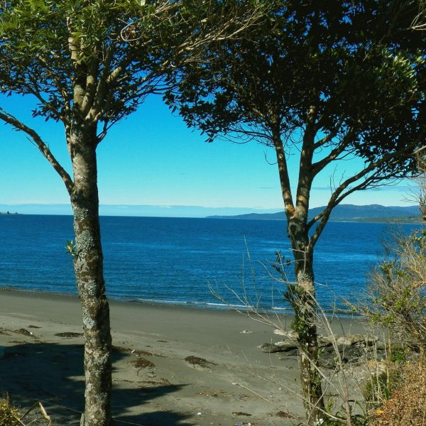 dagen&#Roadtripcarreteraaustral