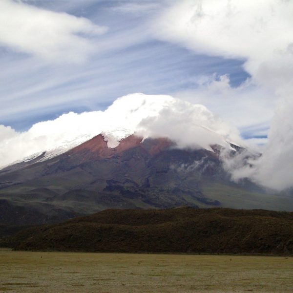 dagen&#Ecuadorvoornatuurliefhebbers