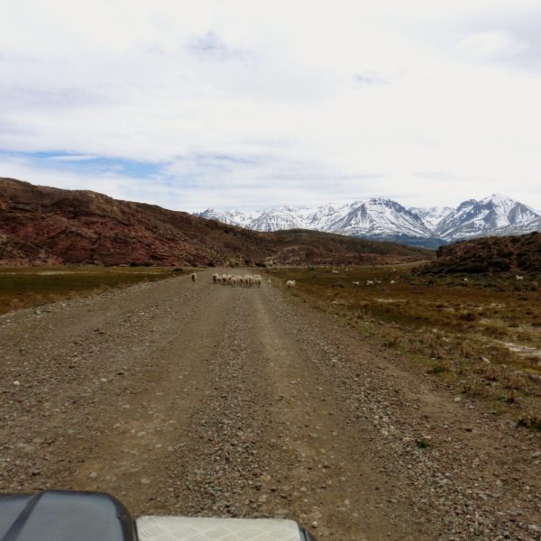 dagen&#Roadtripcarreteraaustral