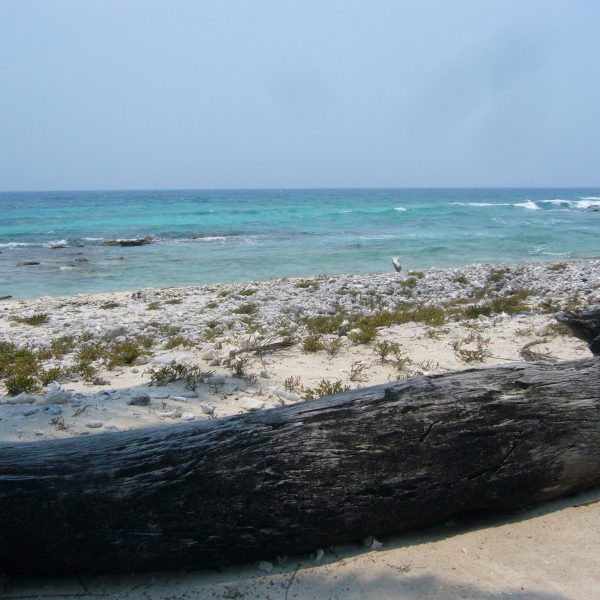 dagenBijzonderGuatemala&#Belize