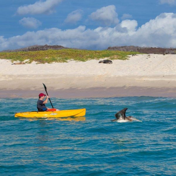 dagen&#AmazoneEcuador&#Galapagoscruise