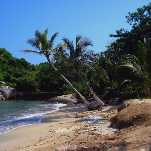 dagen–ActiefColombia