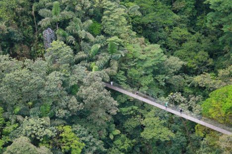 dagen–Safari&#wildlifeinonbekendCostaRica