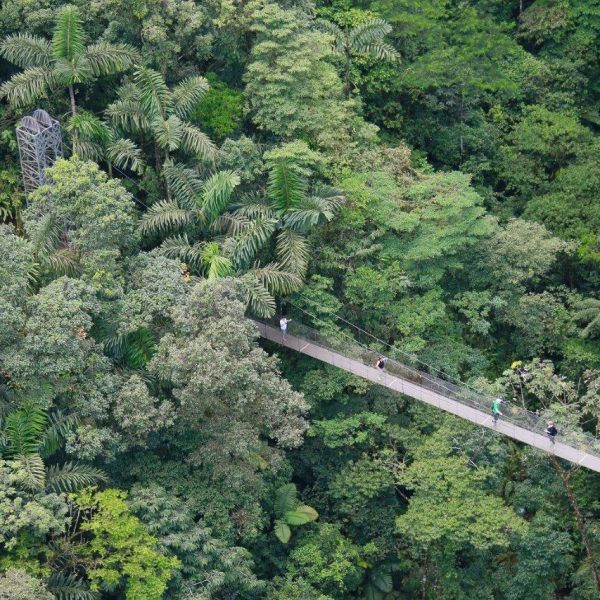 dagen–Safari&#wildlifeinonbekendCostaRica