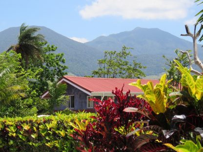 dagen–Safari&#wildlifeinonbekendCostaRica