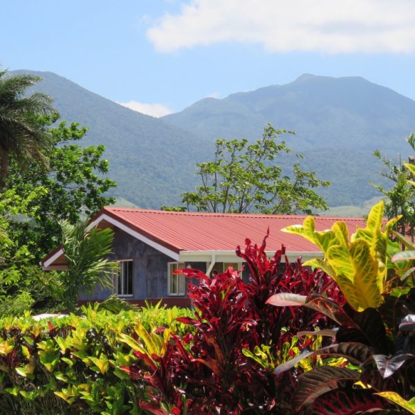 dagen–Safari&#wildlifeinonbekendCostaRica
