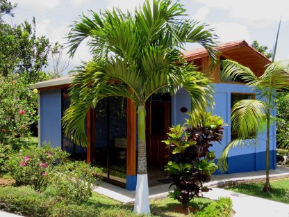 dagen–Safari&#wildlifeinonbekendCostaRica