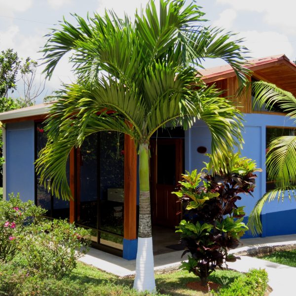 dagen–Safari&#wildlifeinonbekendCostaRica