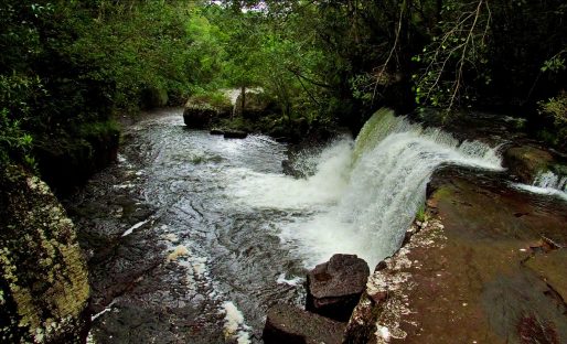dagen&#;Colombiakortavontuurlijk