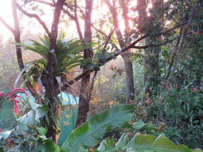 dagen–Safari&#wildlifeinonbekendCostaRica