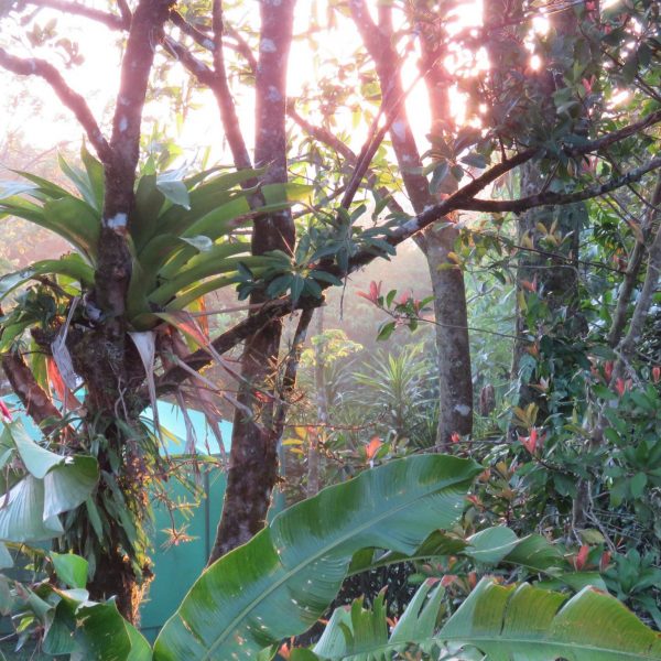 dagen–Safari&#wildlifeinonbekendCostaRica