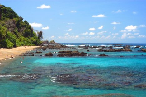 dagen–Safari&#wildlifeinonbekendCostaRica