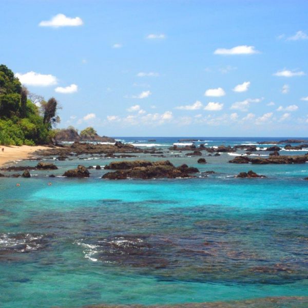 dagen–Safari&#wildlifeinonbekendCostaRica