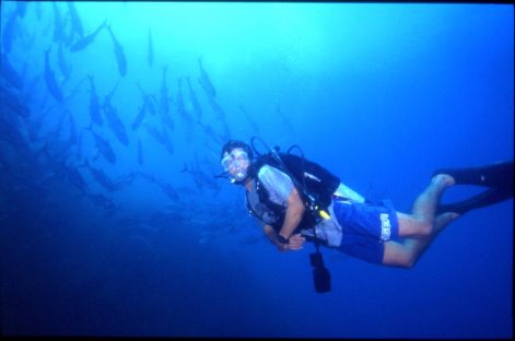 dagen–Safari&#wildlifeinonbekendCostaRica