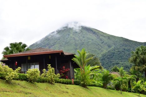 dagen–Safari&#wildlifeinonbekendCostaRica