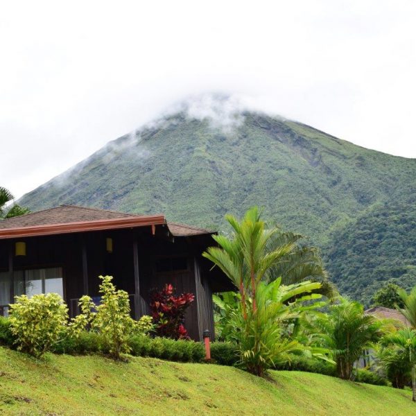 dagen–Safari&#wildlifeinonbekendCostaRica