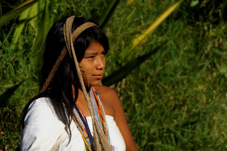 Thumbnail Nieuw bij Olaf Expeditie naar Sierra Nevada Kogi indianen