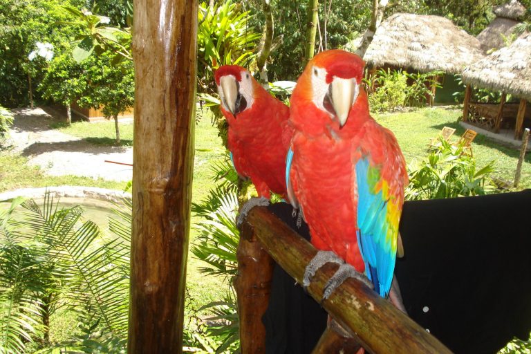 Thumbnail Nieuw bij Olaf Familiereizen