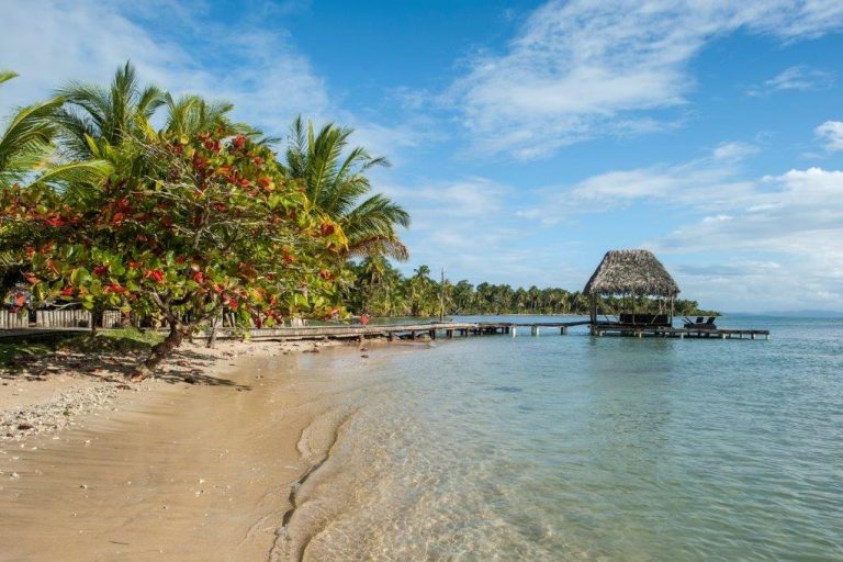 Thumbnail Nieuw bij Olaf Panama Korte Break