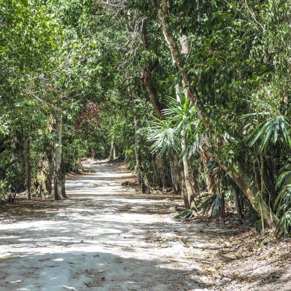 dagen–JungletrekkingnaarTikal