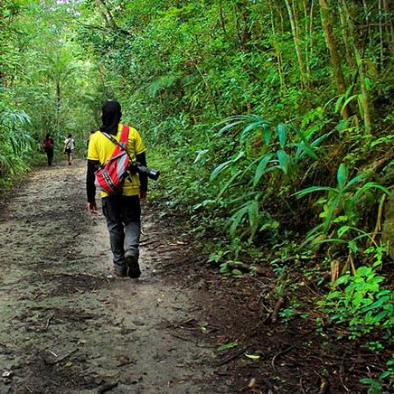 dagen–JungletrekkingnaarTikal
