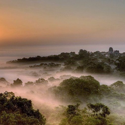 dagen–JungletrekkingnaarTikal