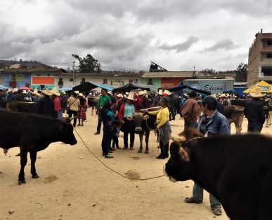 dagen&#;LandvandeChachapoya