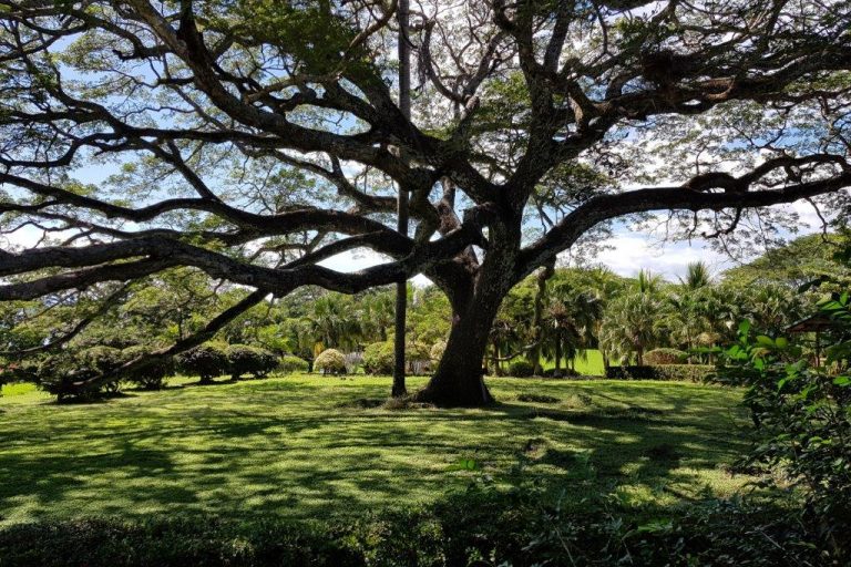 Marcel & Anja Roadtrip door Costa Rica