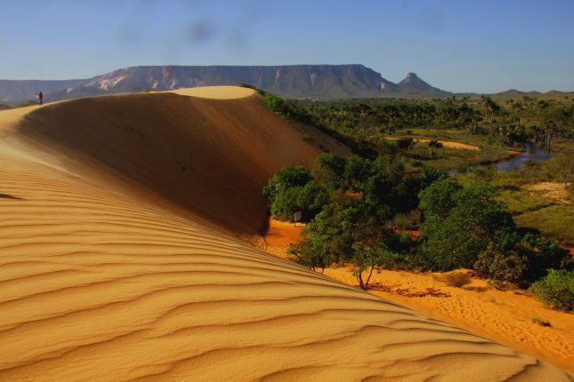 Tocantins jalapao brazilie